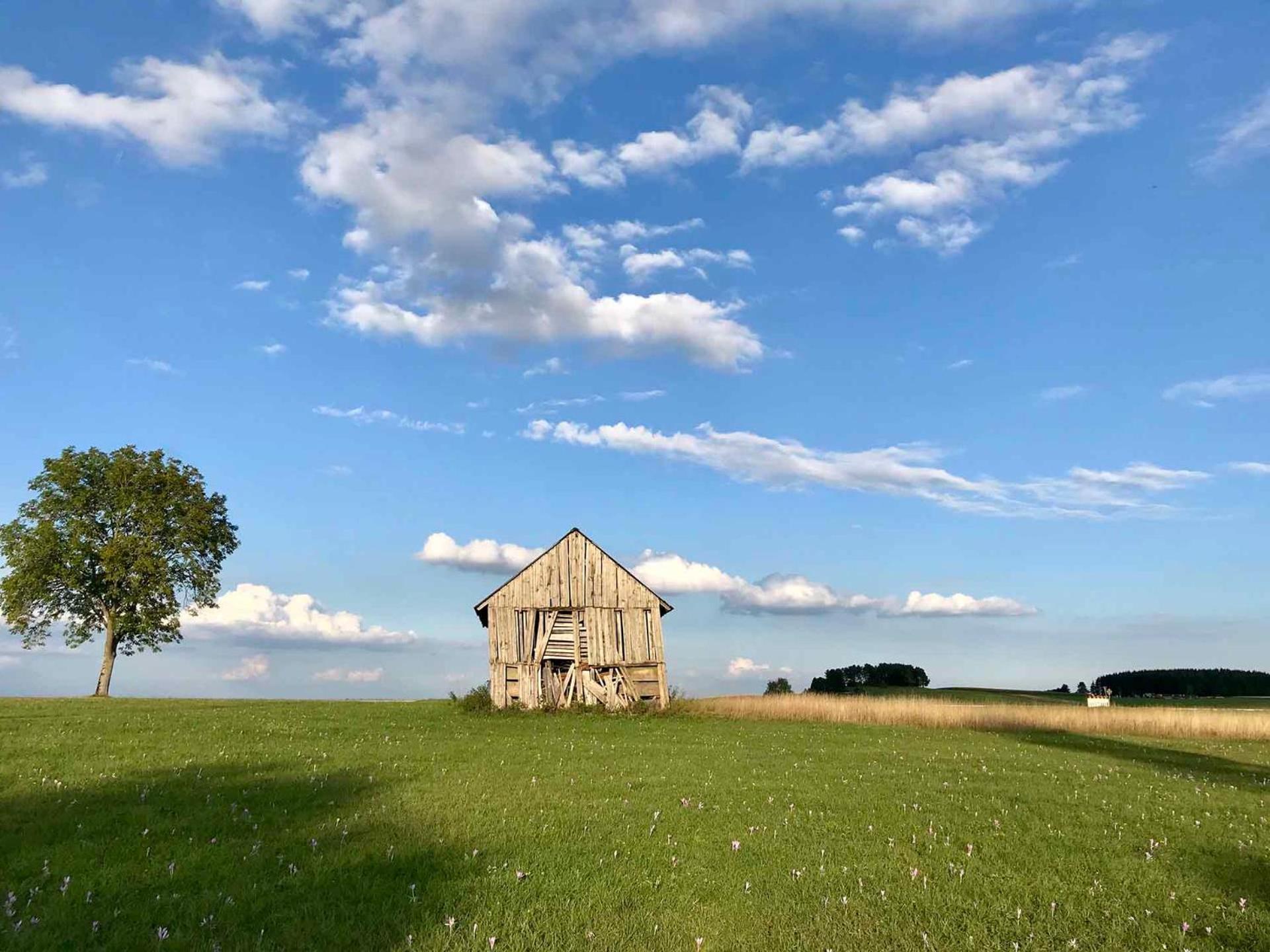 Gaestehaus Roessle Rötenbach エクステリア 写真
